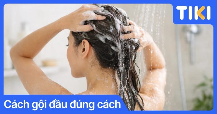 Cách gội đầu đúng cách: Quy trình 6 bước chuẩn y khoa tại nhà