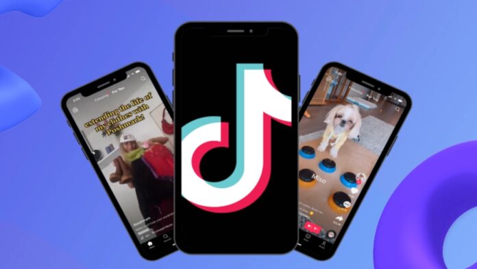 cách lấy video Tik Tok làm hình nền