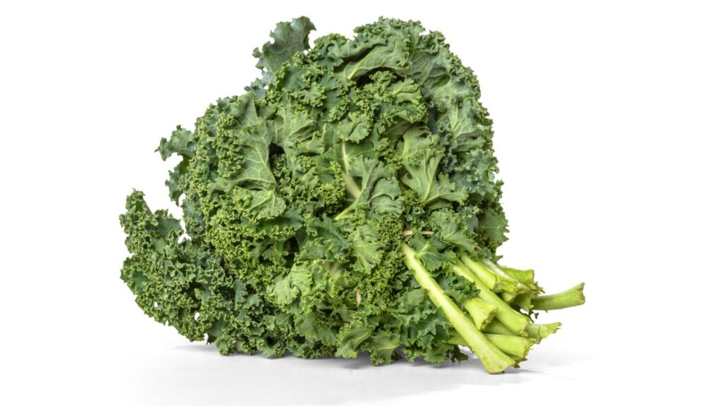 Cải Curly Kale có thể dễ dàng tìm thấy ở bất kỳ cửa hàng bách hóa nào 