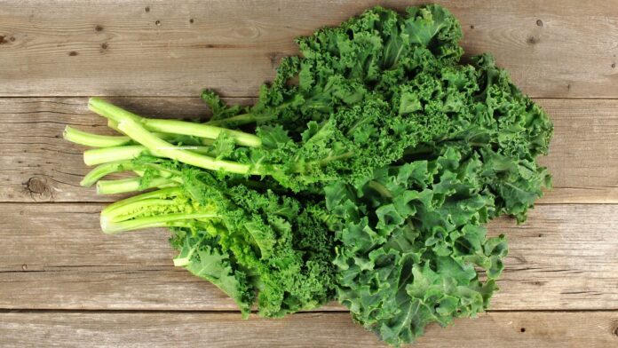 cải kale