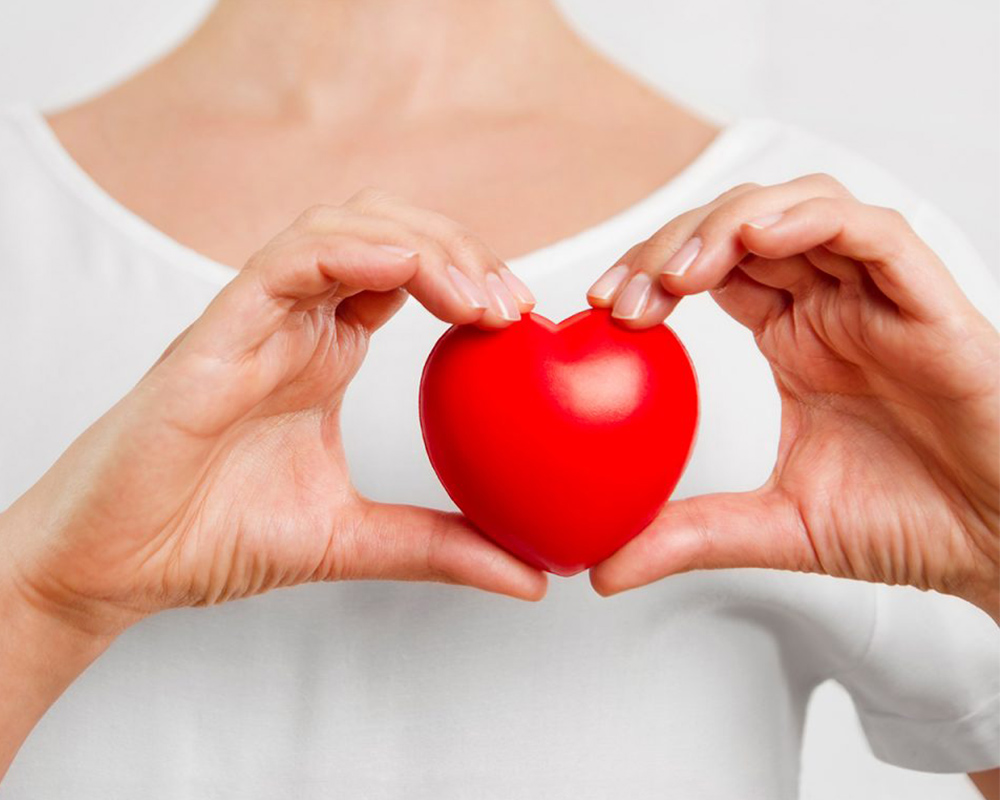 Dưỡng chất có trong đu đủ hỗ trợ cải thiện sức khỏe tim mạch 