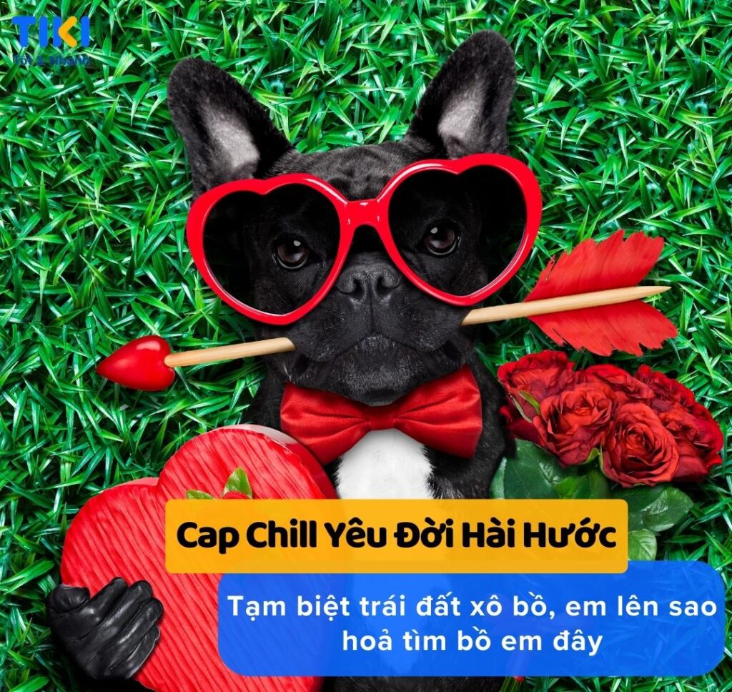 Cap chill yêu thương đời vui nhộn đăng Tiktok siêu cool ngầu