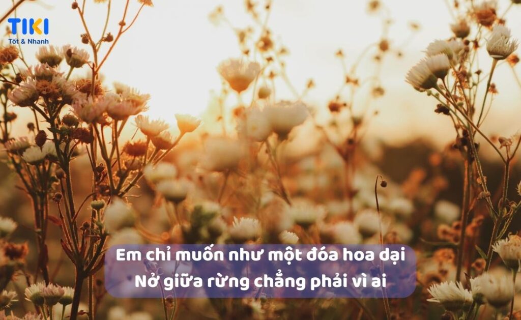 Cap hoặc đăng Facebook, Instagram