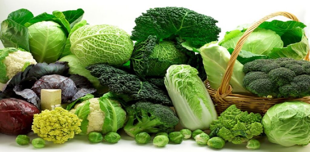 Vitamin U là một muối của Methyl Methionin Sunfonium được tìm thấy trong lá cải bắp tươi