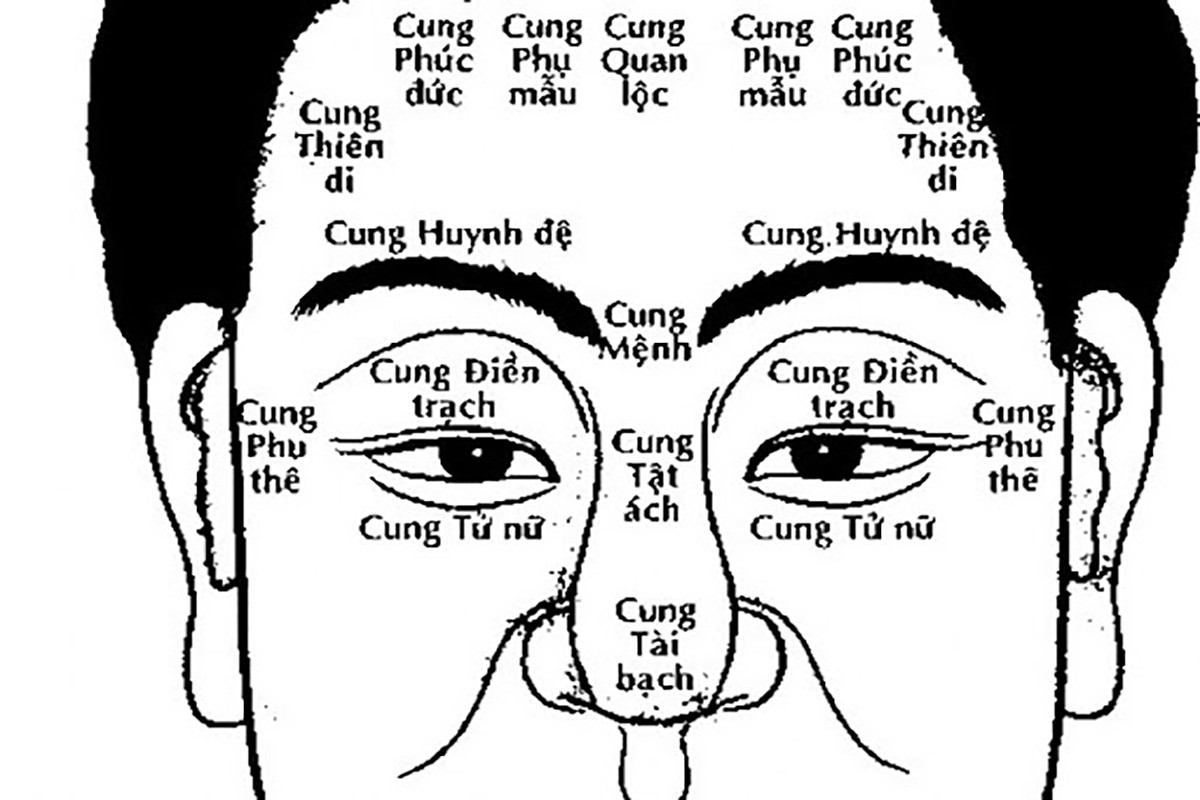Sao Tử Vi Ở Cung Điền Trạch: Khám Phá Bí Mật Tài Sản Và Vận Mệnh Của Bạn