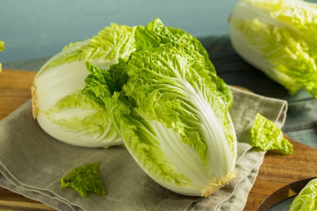 Cải bắp là một loại rau có nhiều công dụng tốt cho sức khoẻ nhưng có một số đối tượng không nên tiêu thụ loại rau này
