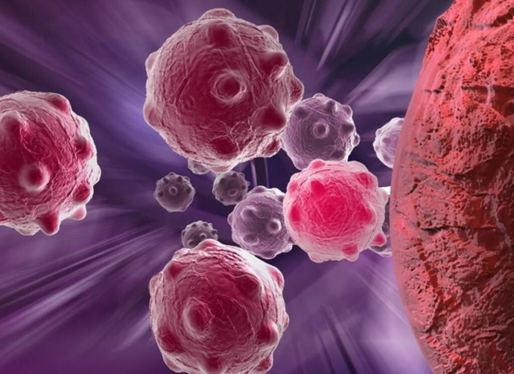 Bí đỏ chứa các chất chống oxy hóa giúp bảo vệ các tế bào chống lại các bệnh mãn tính