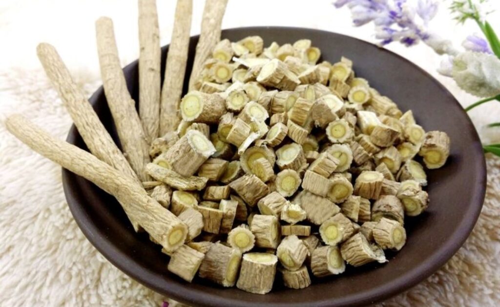 Hoàng kỳ có công dụng hỗ trợ hệ miễn dịch rất tốt