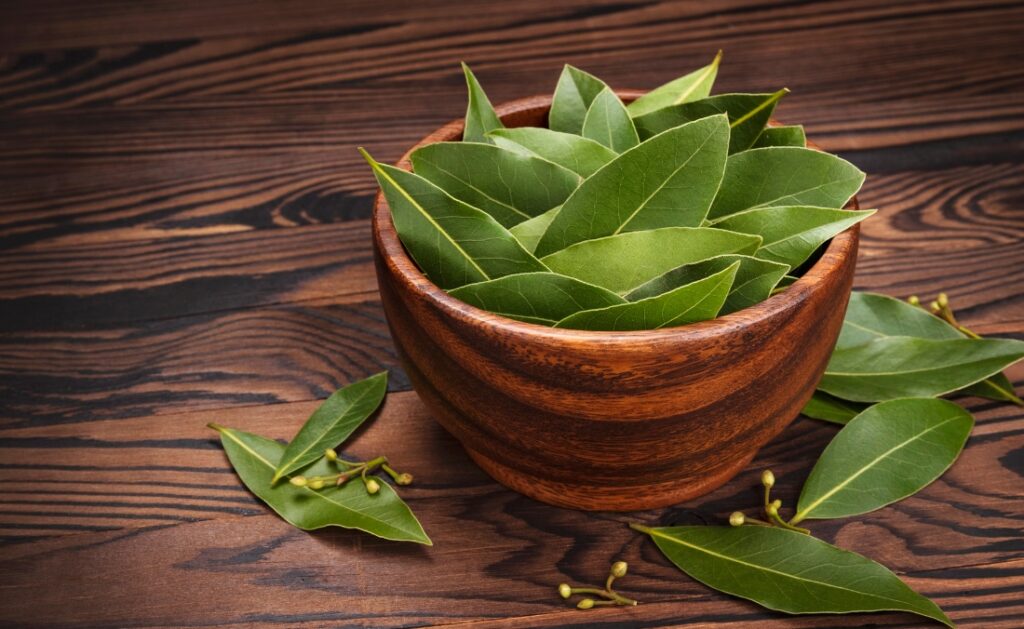 Lá nguyệt quế còn được sử dụng làm gia vị cho món ăn