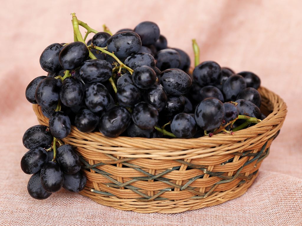 Nho đen là thực phẩm giàu vitamin C