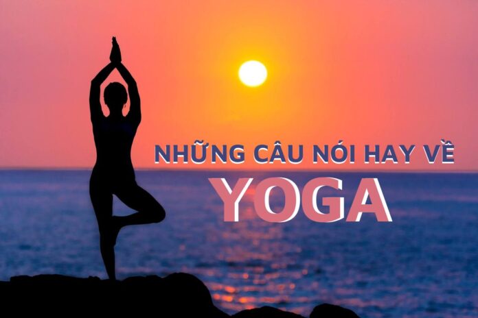 những câu nói hay về yoga