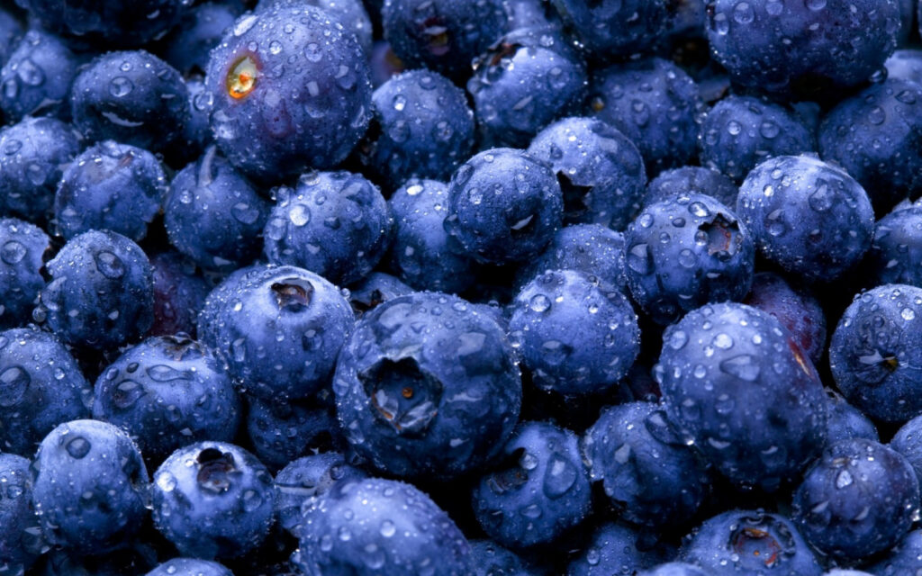 Bạn không nên rửa blueberry nếu chưa có ý định ăn ngay 