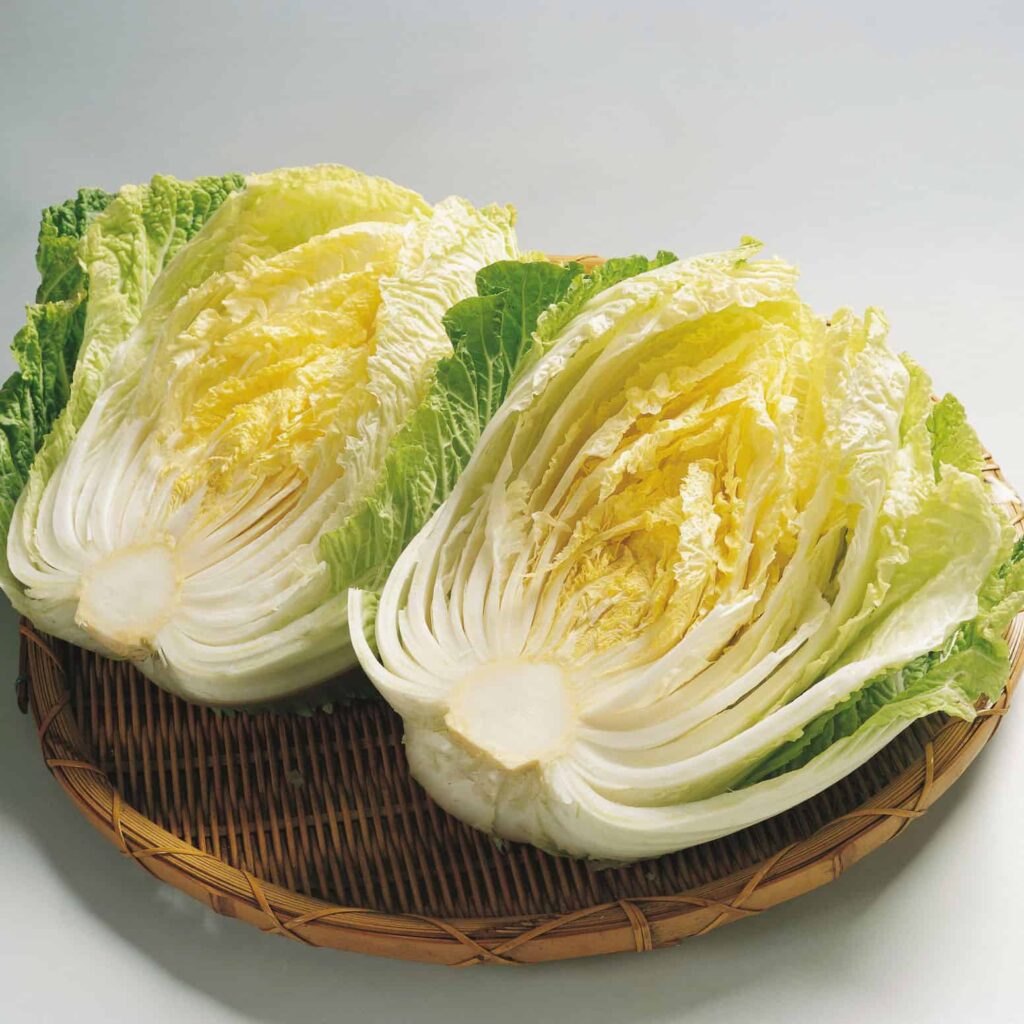Bắp cải lá chứa sulforaphane - một hợp chất chứa lưu huỳnh có vị đắng với tác dụng chống ung thư