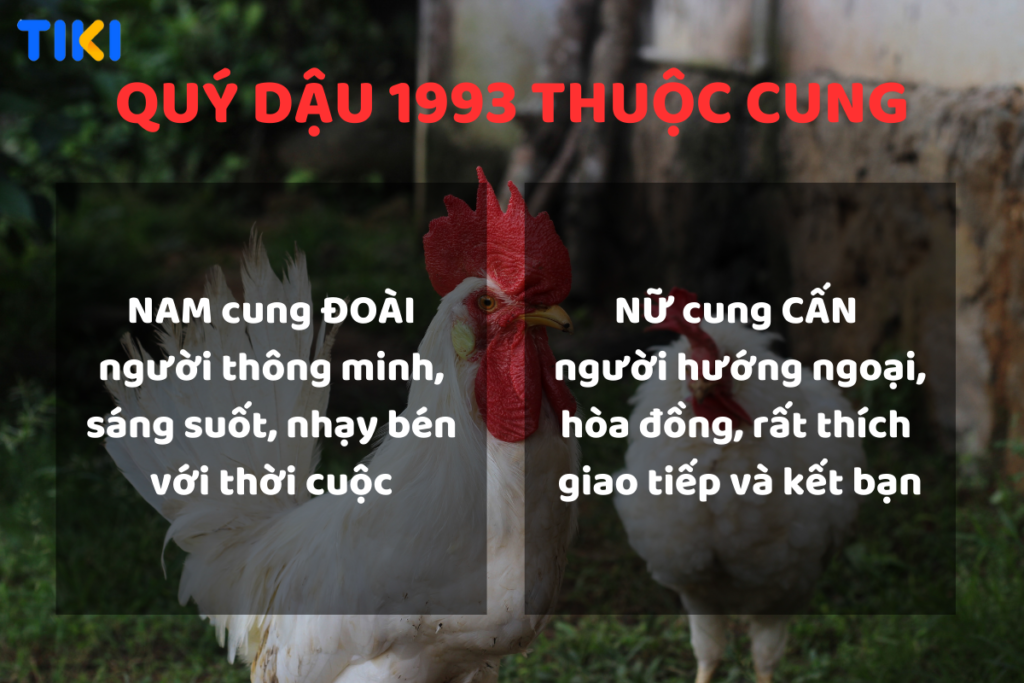 1993 Thuộc Cung Gì? Khám Phá Đặc Điểm Tính Cách và Vận Mệnh