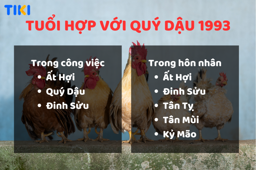 Các tuổi hợp với Quý Dậu 1993