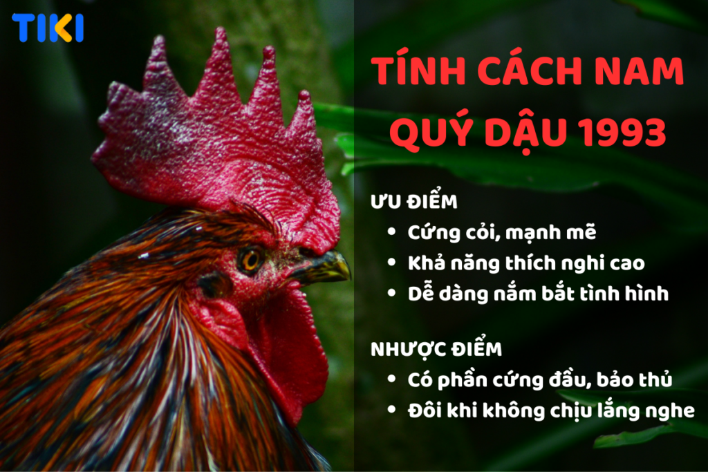 Tính cách nam tuổi Quý Dậu 1993