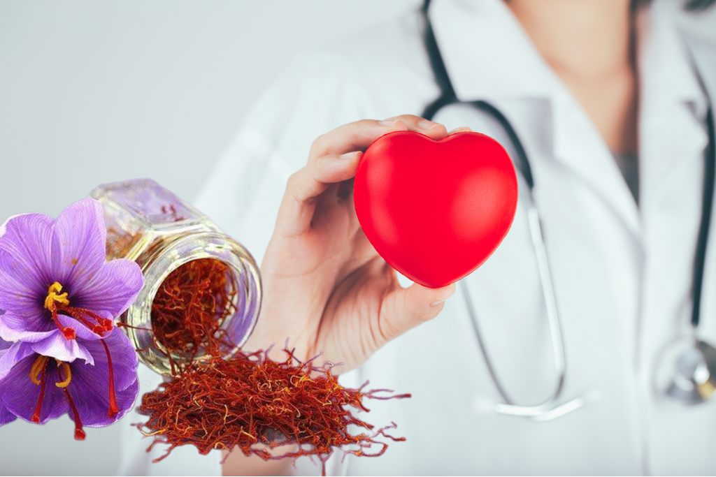 Saffron canh ty hạn chế nguy hại vướng tim mạch