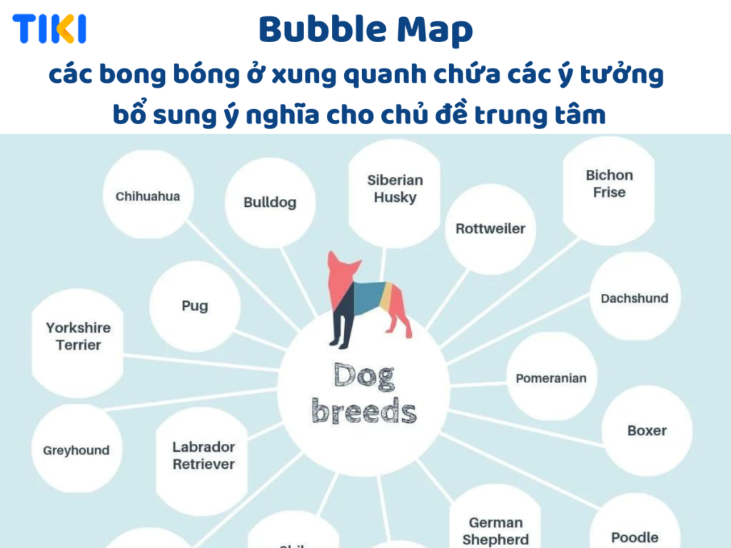 Bubble Map