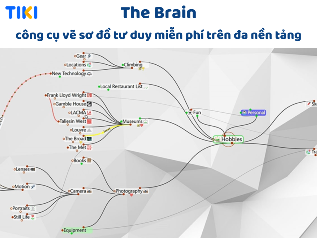 Phần mềm The Brain