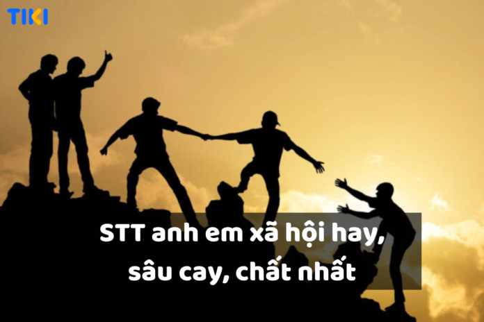 STT anh em hay và chất nhất