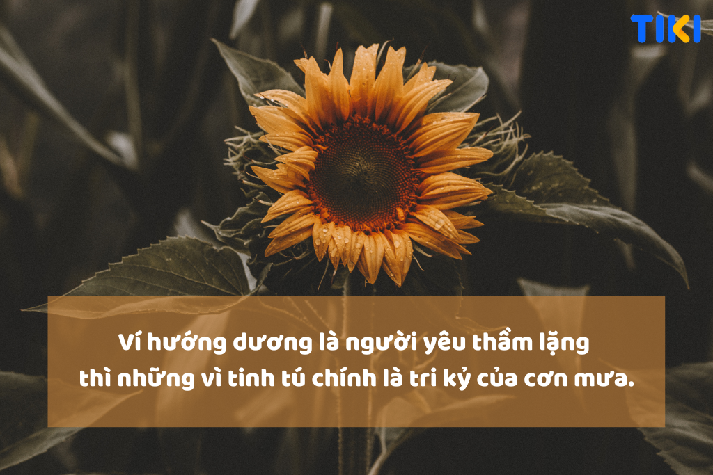 Stt mưa buồn trong đêm