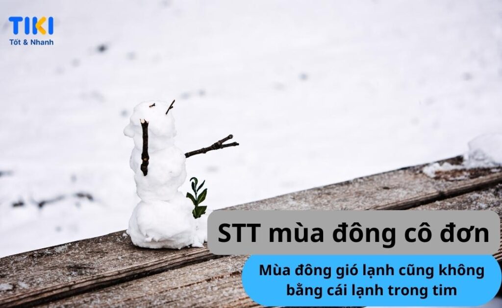 Stt mùa đông buồn cho ai đang cô đơn 