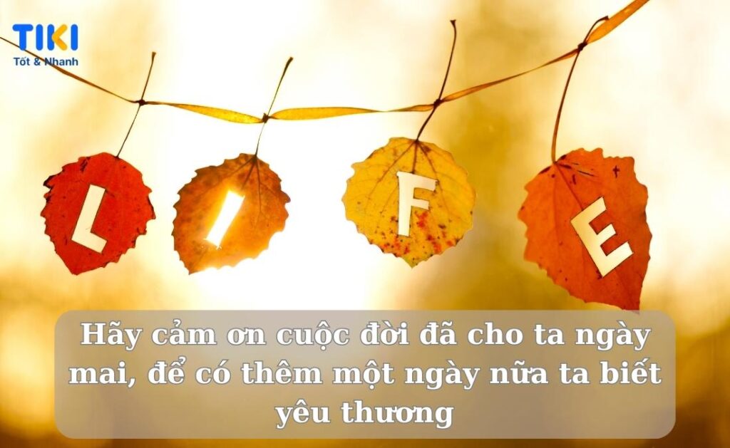 Stt vui vẻ, hạnh phúc giúp cuộc sống của mỗi người thêm hài hòa và yêu đời hơn 