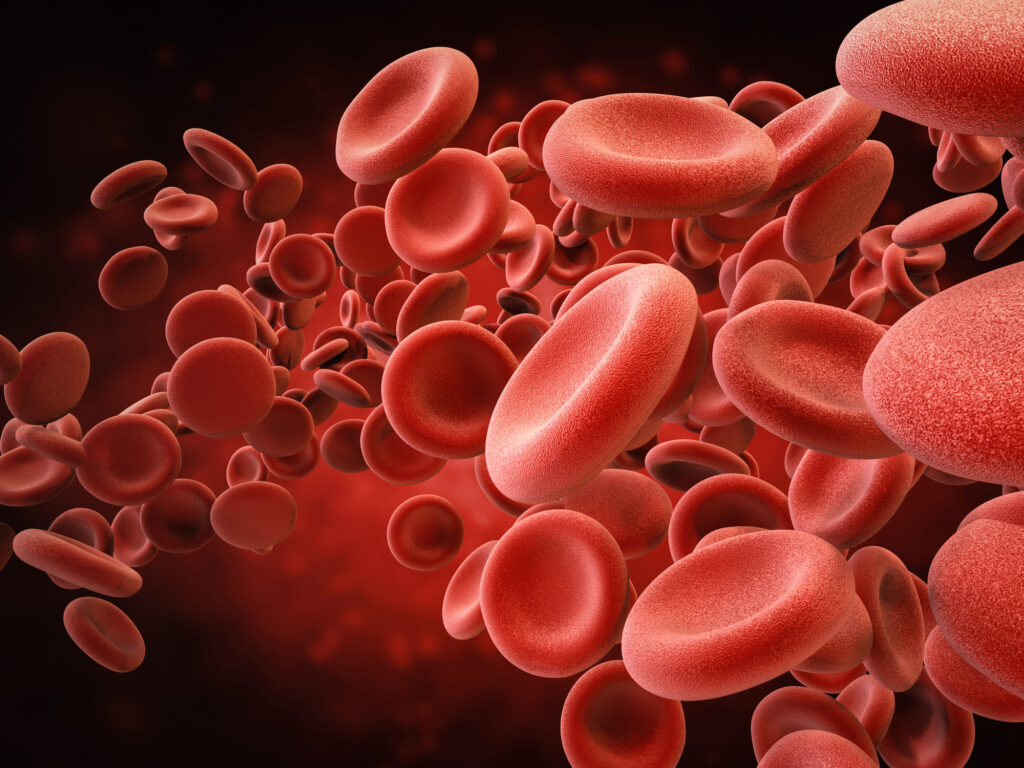 Vitamin K thúc đẩy quá trình đông máu diễn ra nhanh hơn