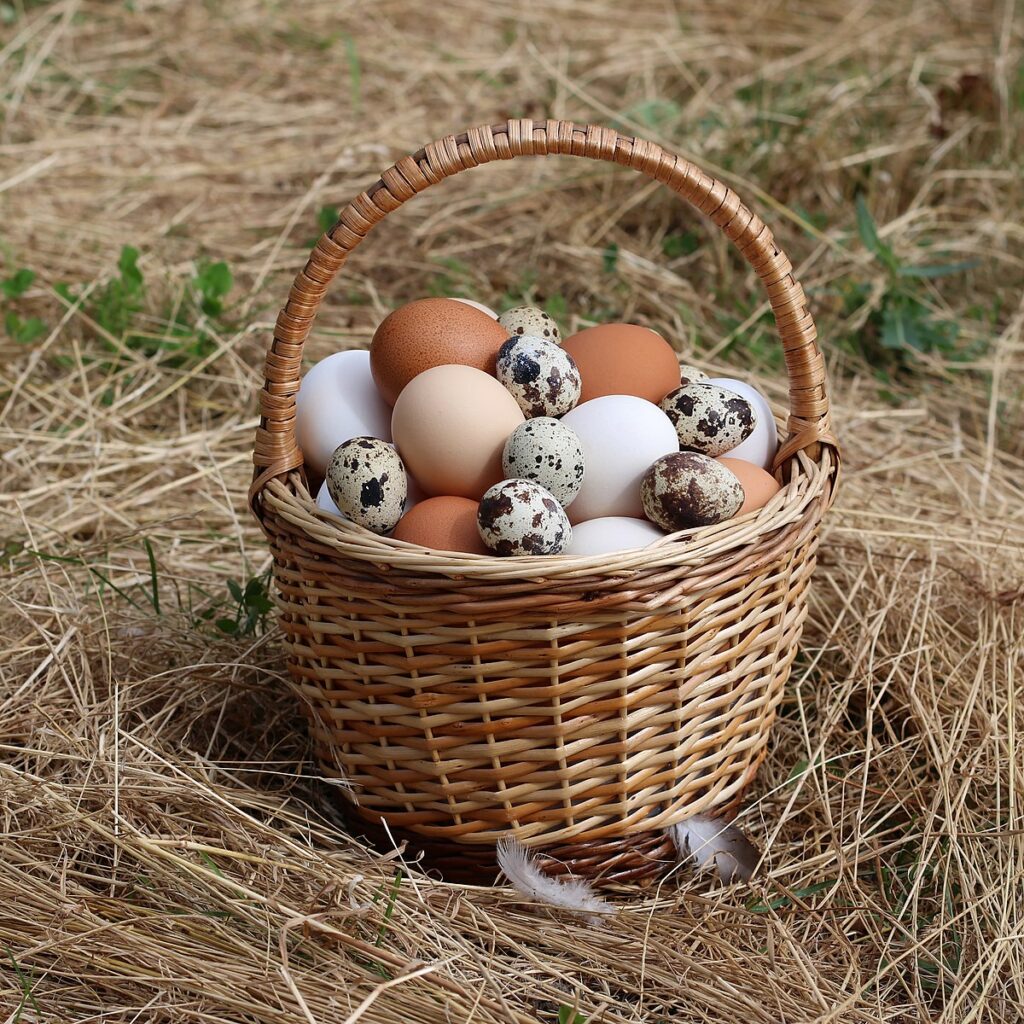 Theo tính toán của các chuyên gia dinh dưỡng, một quả trứng cung cấp 6g đạm và chứa 78 calo 