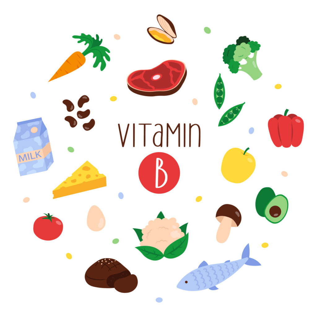Vitamin B gồm 8 vitamin tan được trong nước