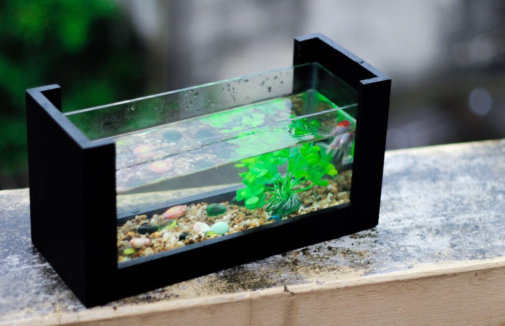 Lợi ích khi tự làm bể cá mini