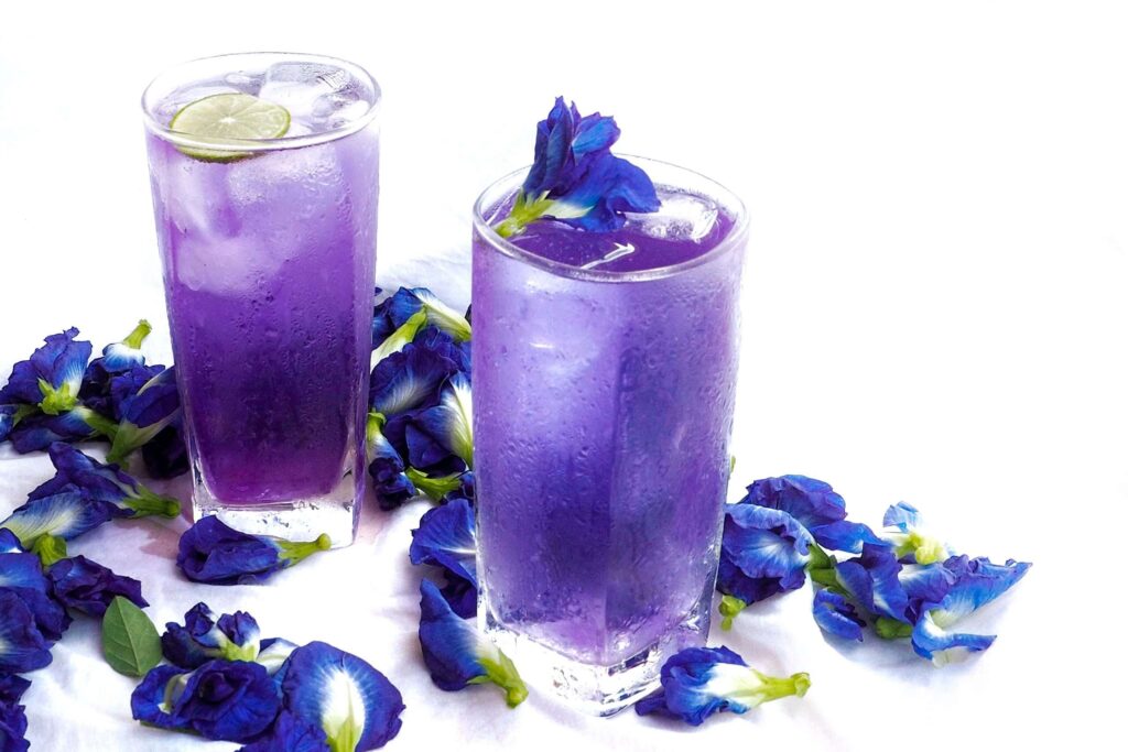 Ai có thể uống trà hoa đậu biếc