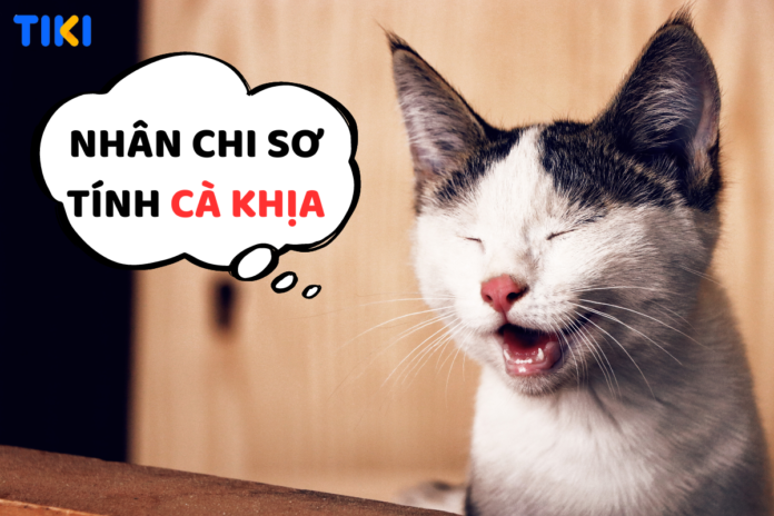 Cà khịa