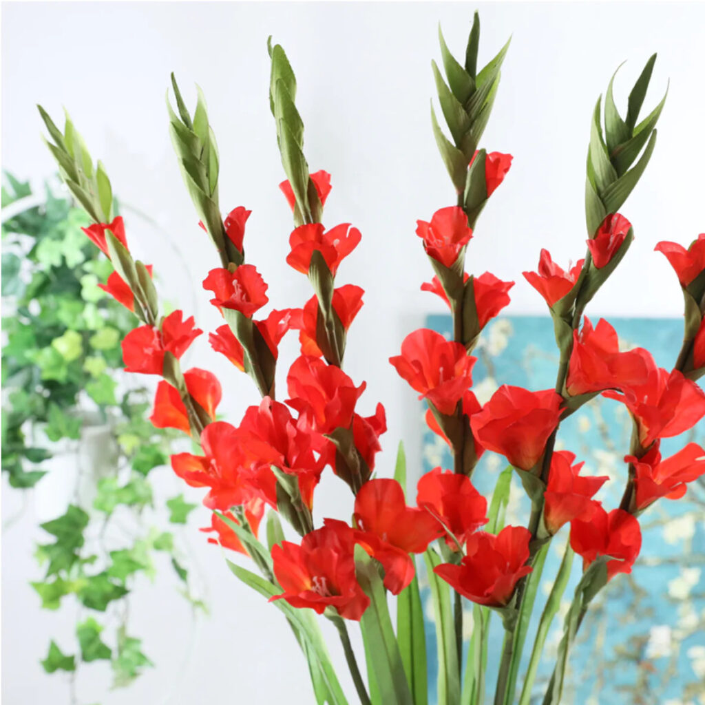 Một cành lay ơn đẹp phải có có hoa nở đều màu từ dưới lên trên
