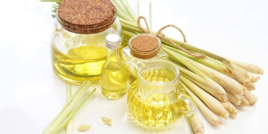 Cách làm tinh dầu sả để đuổi mũi, côn trùng