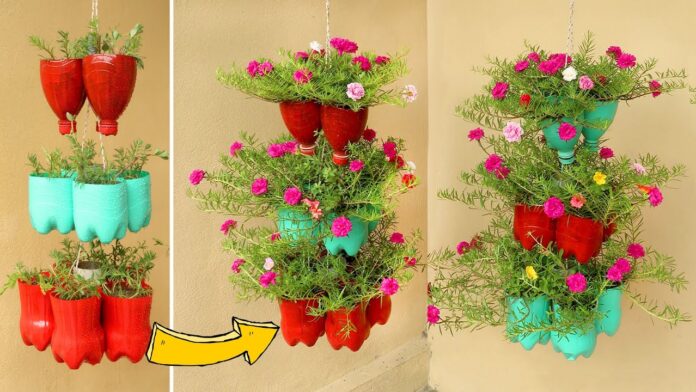 Cách tái chế chai nhựa trồng cây