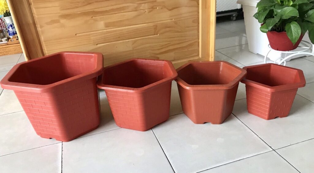 Chọn chậu trồng hoa hồng phù hợp