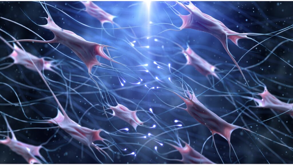 Collagen Peptides