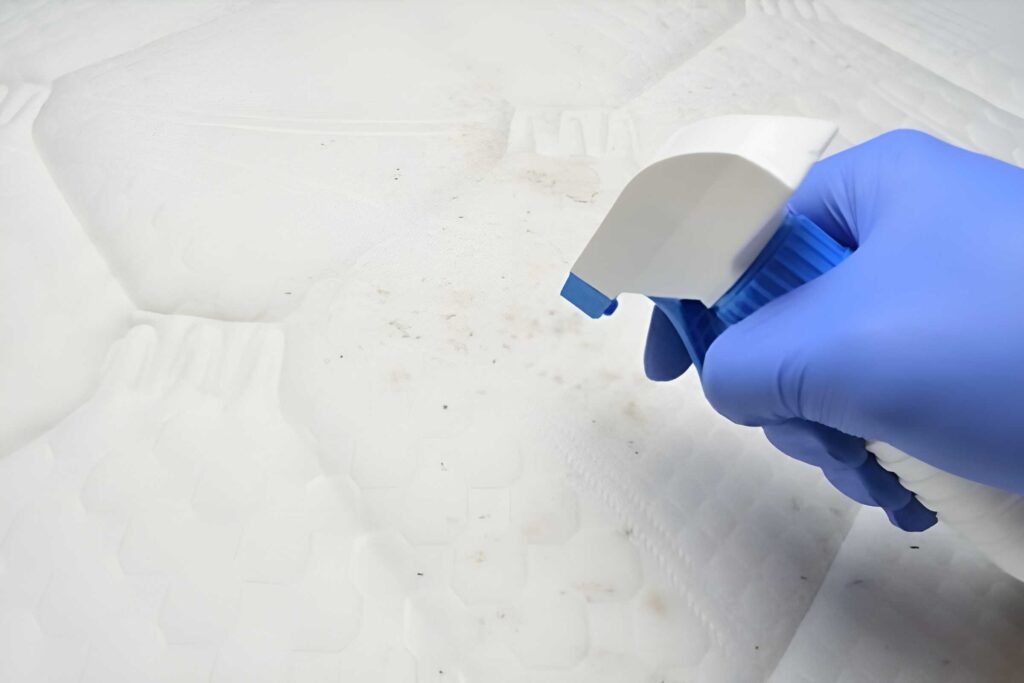 Dùng dung dịch enzyme để làm sạch các vết bẩn do dầu mỡ tích tụ