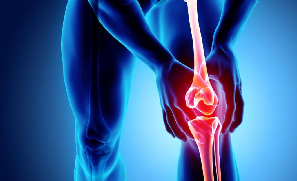 Atiso hạn chế tình trạng viêm khớp