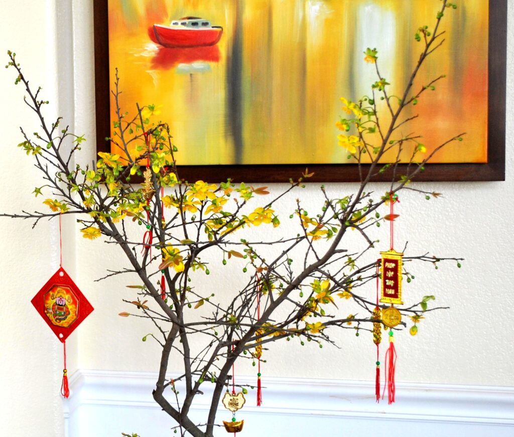 Lưu ý khi chăm sóc mai sau Tết