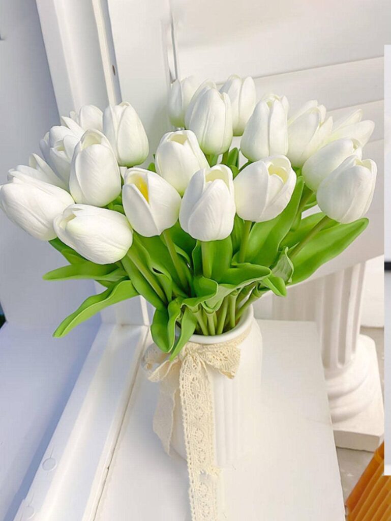 Hoa Tulip thanh tao, nhã nhặn