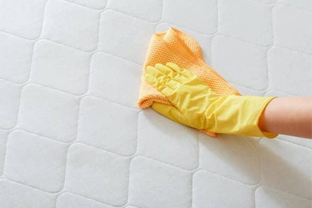 Dùng khăn mềm để thấm hút và chà nhẹ lên vị trí bị đổ nước
