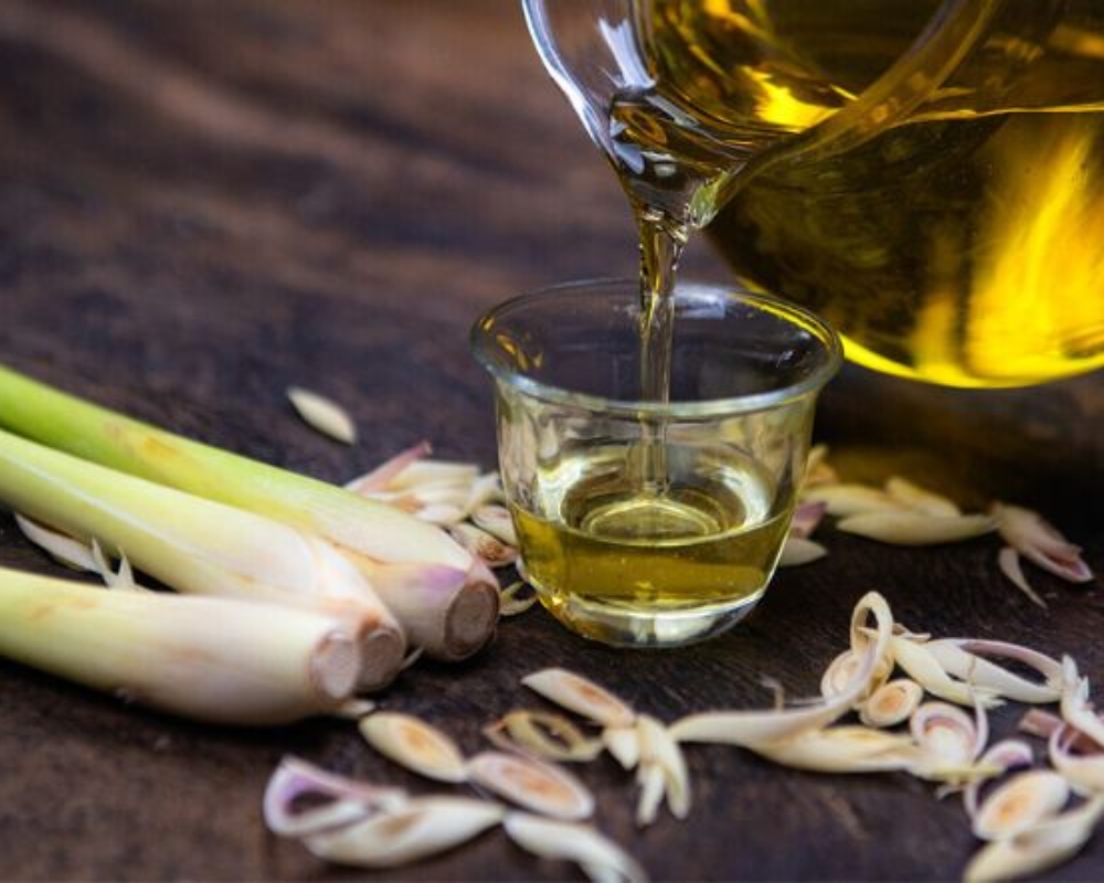 Tinh dầu sả có khả năng khử khuẩn, đuổi côn trùng