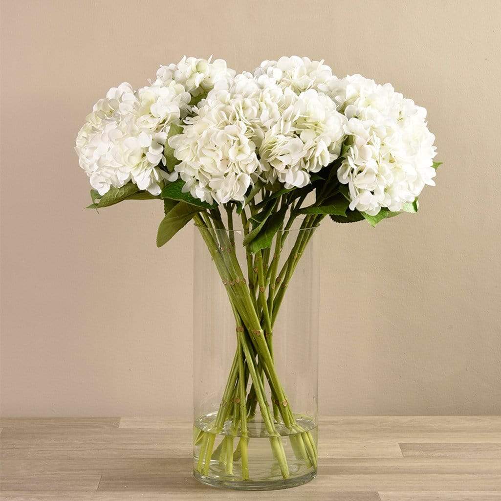 Cắm hoa cẩm chướng trắng trong lọ cao thủy tinh đẹp, ấn tượng