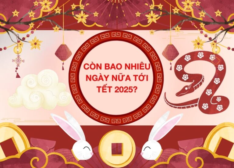 Còn bao nhiêu ngày nữa đến Tết 2025 Nguyên Đán, Dương lịch? TIKI
