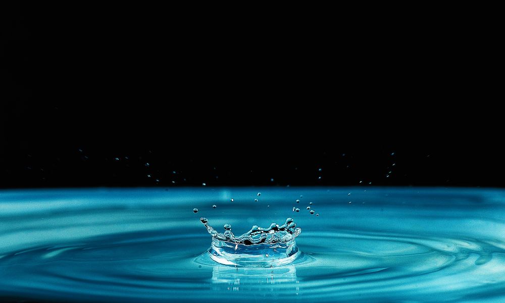Understanding the Personality Traits of Water Element Individuals (Source: Internet)