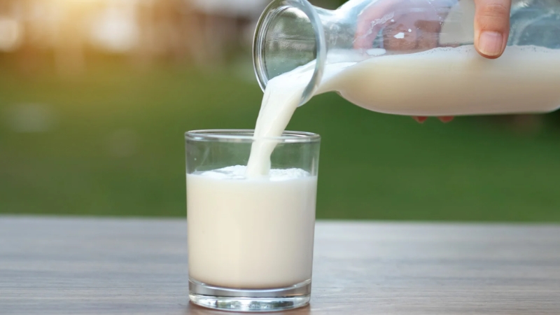 Một ly sữa ấm vào buổi sáng cung cấp năng lượng khởi đầu ngày mới