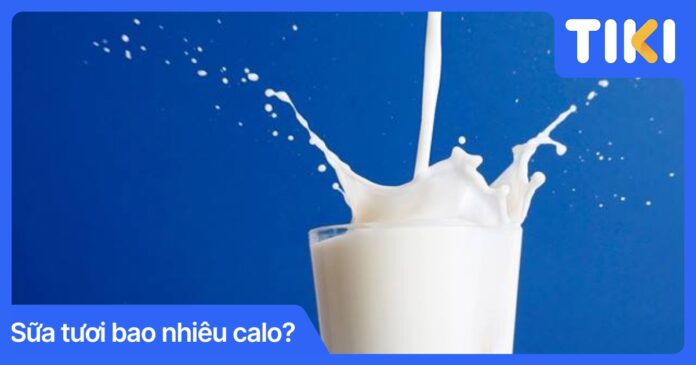 Sữa tươi bao nhiêu calo? Uống sữa tươi nhiều có béo không?