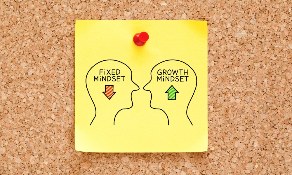 Có 2 dạng mindset chính Có 2 dạng mindset chính